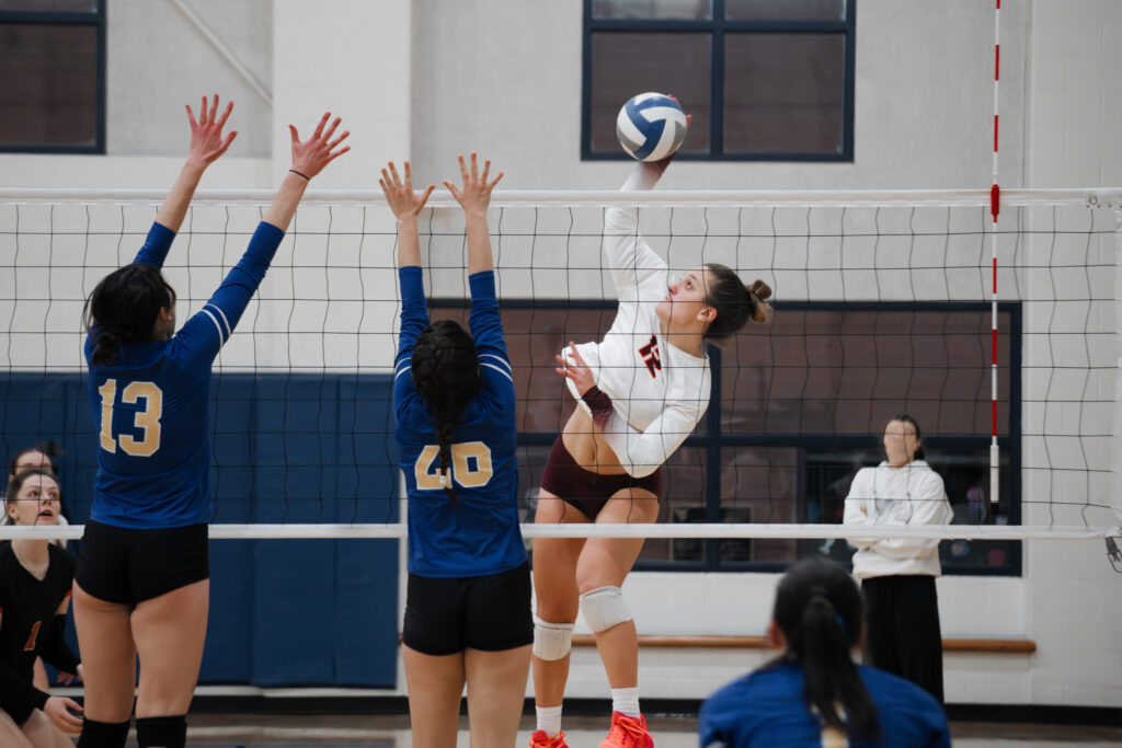 Females Playing Adult Volleyball